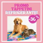 Zoolandia Family -30% - al 31.07.2025