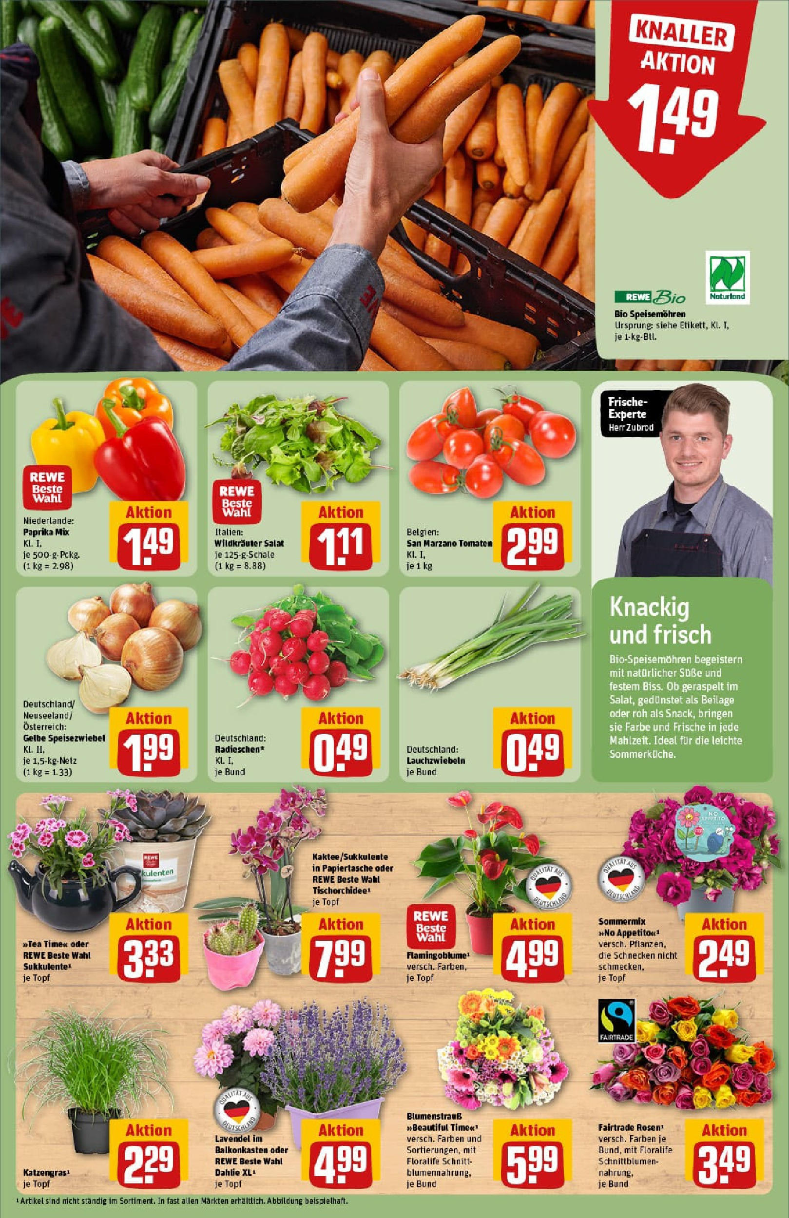 REWE Prospekt ab 29.06.2025 zum Blättern » Angebote | Seite: 9 | Produkte: Tomaten, Paprika, Lavendel, Salat
