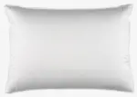 JYSK JYSK Възглавница с гъши пух 50x70 KRONBORG OKKEN - до 18-03-26