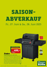 Pflanzen-Kölle: Saison-Abverkauf
