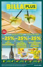 BILLA PLUS: Flugblatt Wien