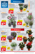 Lidl Österreich Lidl: Flugblatt in deiner Nähe - ab 03.07.2025