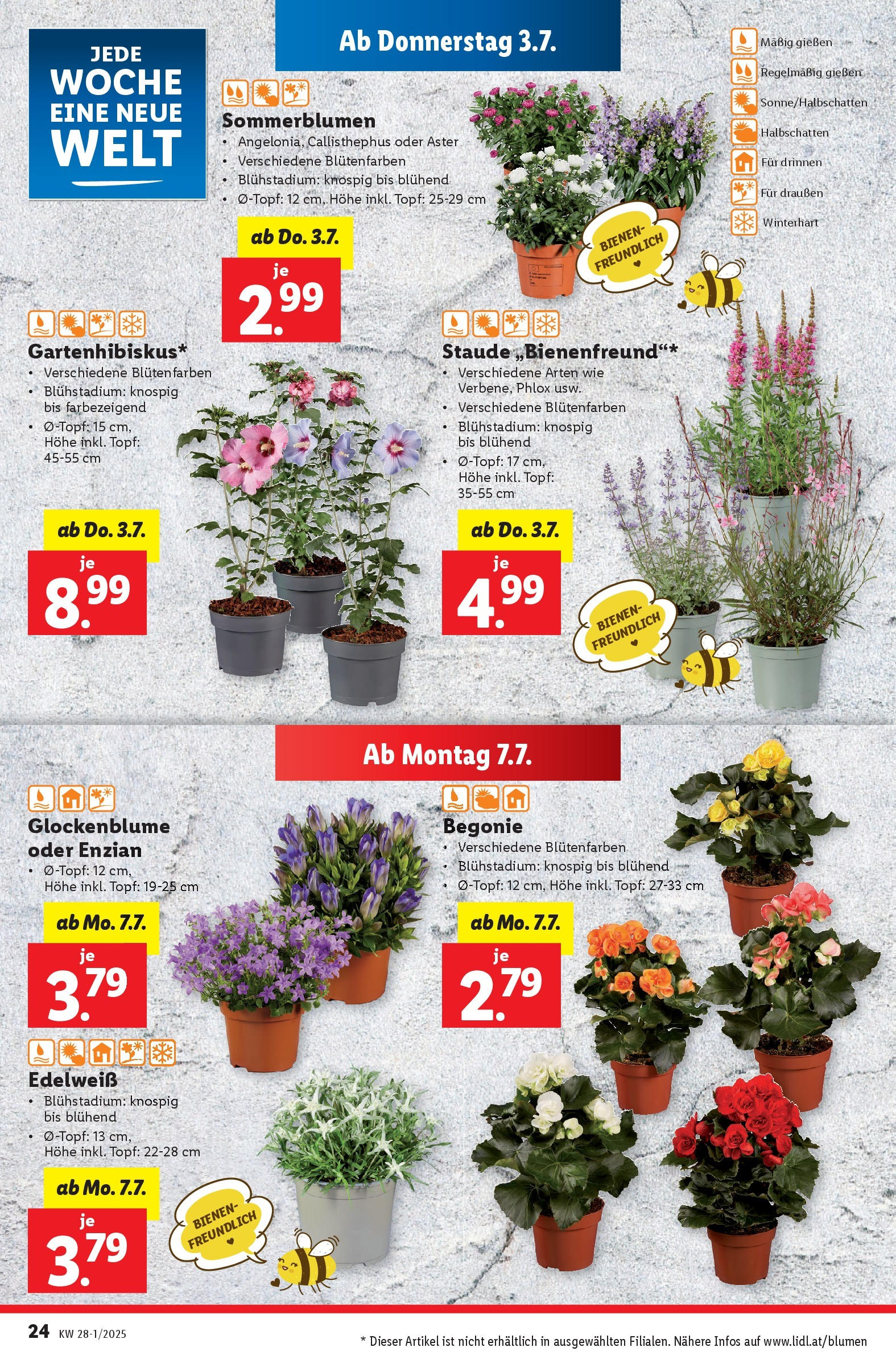 Lidl Flugblatt - Salzburg, Dornbirn, Jenbach ab 02.07.2025 - Angebote ab donnerstag | Seite: 26