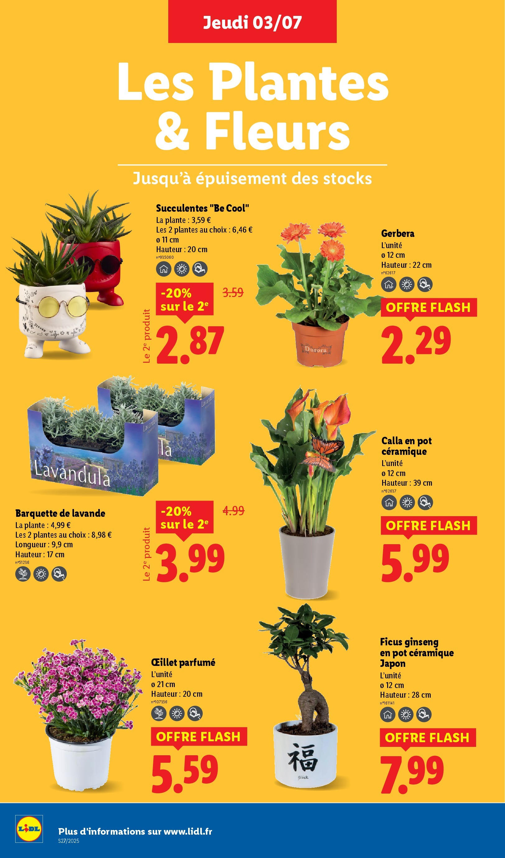 Catalogue LIDL du 02/07/2025 | Promo prospectus en ligne | Page: 26 | Produits: Lavande, Plantes, Oeillet parfumé Catalogue LIDL du 02/07/2025 | Promo prospectus en ligne | Page: 26 | Produits: Lavande, Plantes, Oeillet parfumé