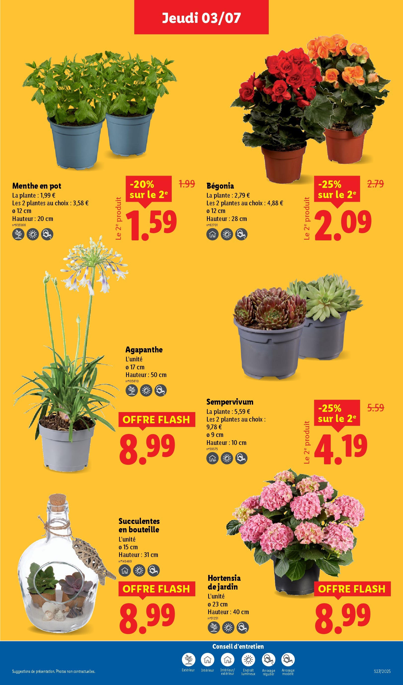 Catalogue LIDL du 02/07/2025 | Promo prospectus en ligne | Page: 27 | Produits: Hortensia, Menthe, Plantes Catalogue LIDL du 02/07/2025 | Promo prospectus en ligne | Page: 27 | Produits: Hortensia, Menthe, Plantes