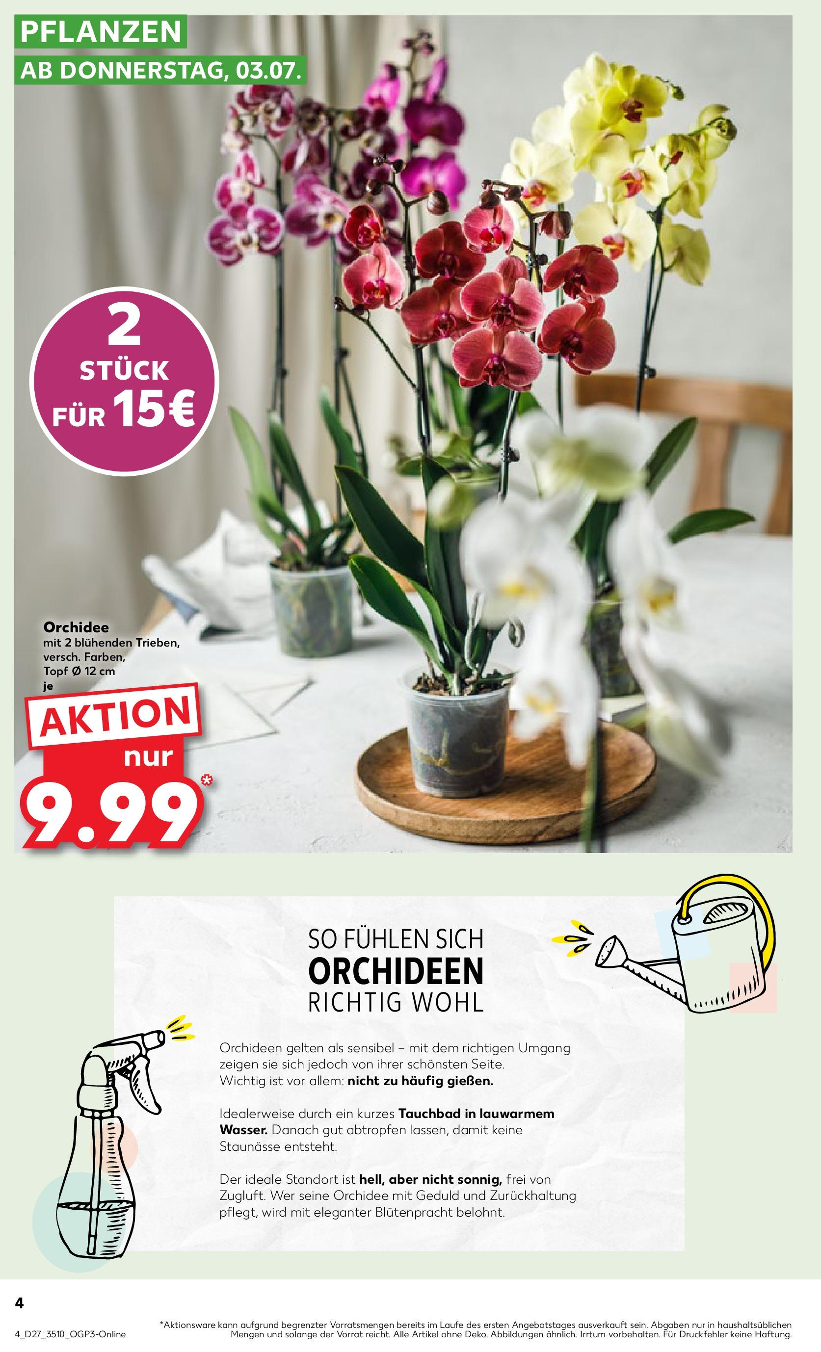 Prospekt Kaufland ab 03.07.2025 » Angebote Online zum Blättern | Seite: 4 | Produkte: Orchidee
