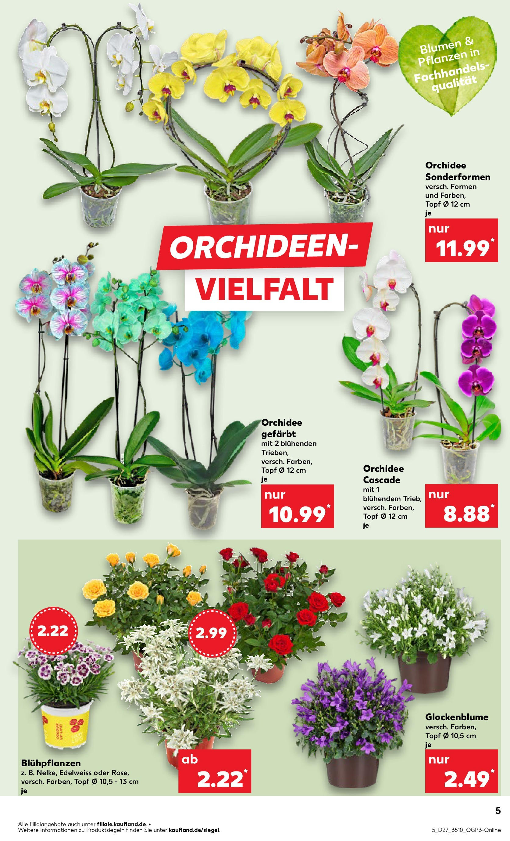 Prospekt Kaufland ab 03.07.2025 » Angebote Online zum Blättern | Seite: 5 | Produkte: Orchidee, Blumen