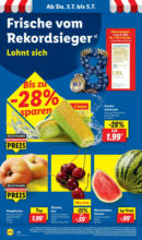 Lidl Lidl: Wochenangebote - bis 05.07.2025