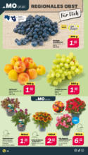 Netto APS : Wochenangebote
