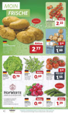 Combi - Angebote 07.07.-12.07.2025