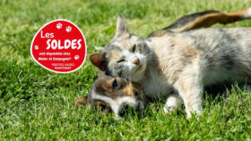 Les soldes sont là !!