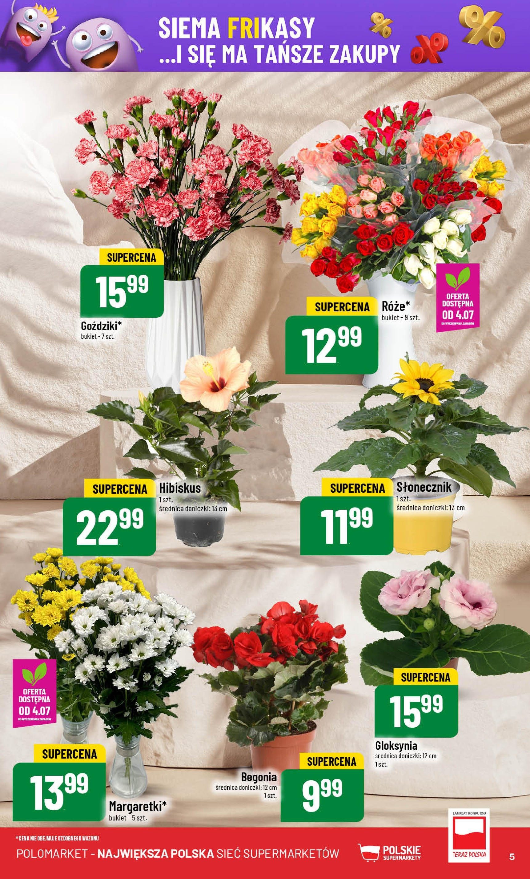 POLOmarket gazetka od jutra (02.07.2025) | Nowa PDF | Strona: 5 | Produkty: Słonecznik, Doniczki POLOmarket gazetka od jutra (02.07.2025) - Nowa PDF | Strona: 5 | Produkty: Słonecznik, Doniczki