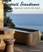 Cocktail Scandinave SALLE DE BAIN - au 31.12.2025