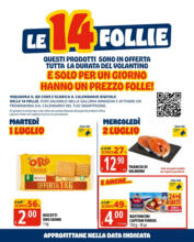 LE 14 FOLLIE CHE NON TIASPETTI