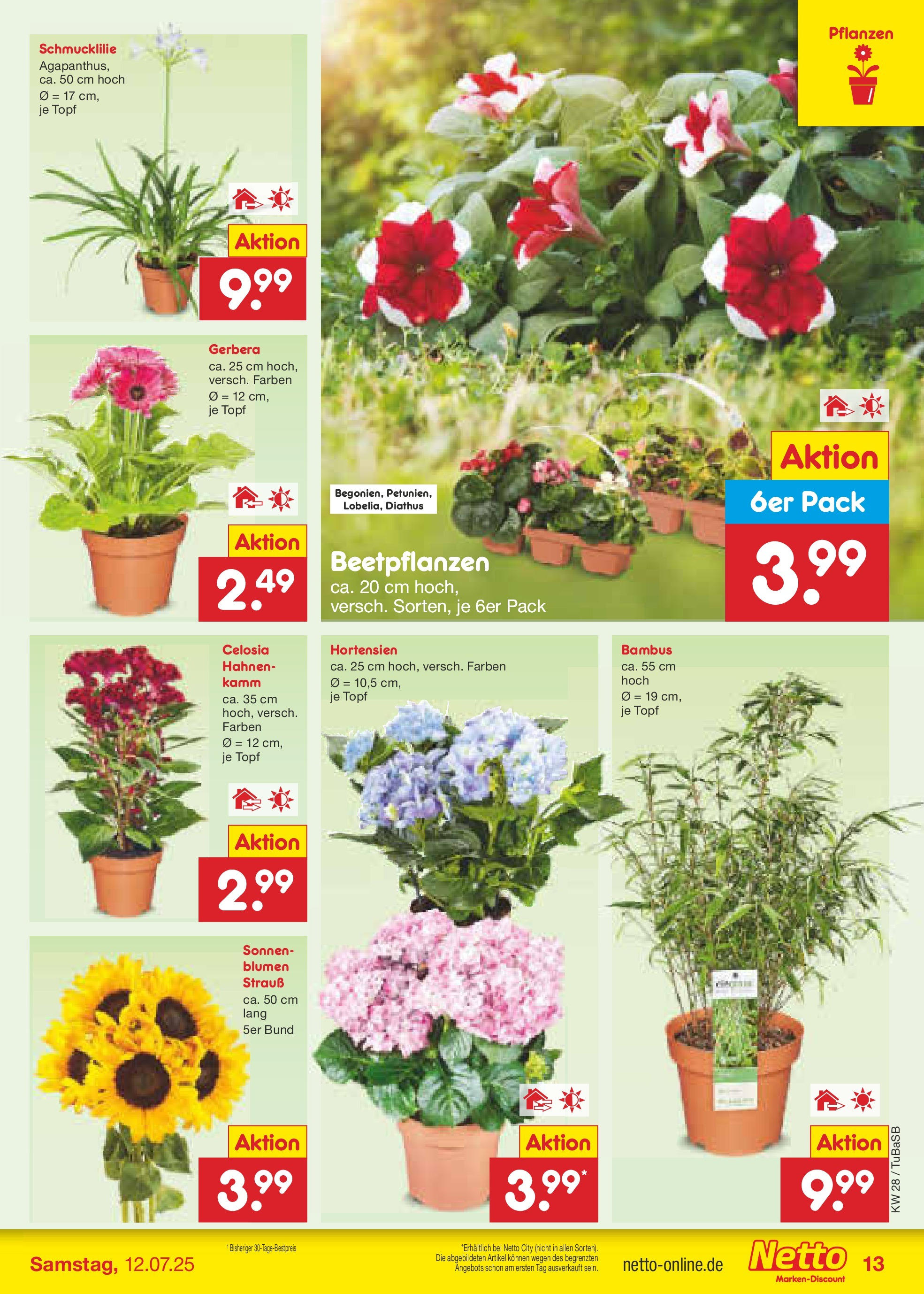 Netto Marken-Discount prospekt Lahr-Langenwinkel (ab 07.07.2025) » Angebote | Seite: 15 | Produkte: Blumen Netto Marken-Discount prospekt Lahr-Langenwinkel (ab 07.07.2025) » Angebote | Seite: 15 | Produkte: Blumen
