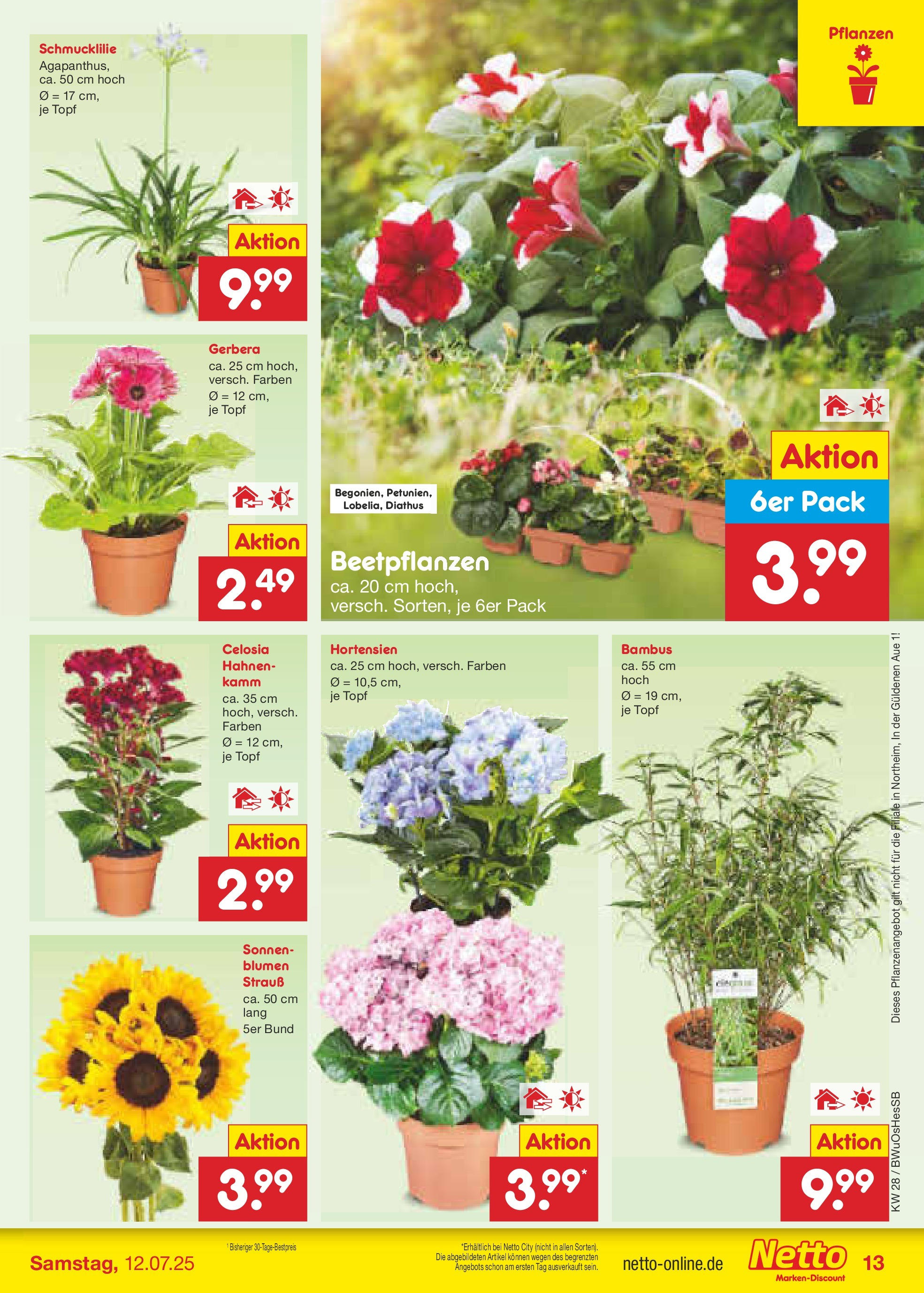 Netto Marken-Discount prospekt Osterode (ab 07.07.2025) » Angebote | Seite: 15 | Produkte: Blumen Netto Marken-Discount prospekt Osterode (ab 07.07.2025) » Angebote | Seite: 15 | Produkte: Blumen