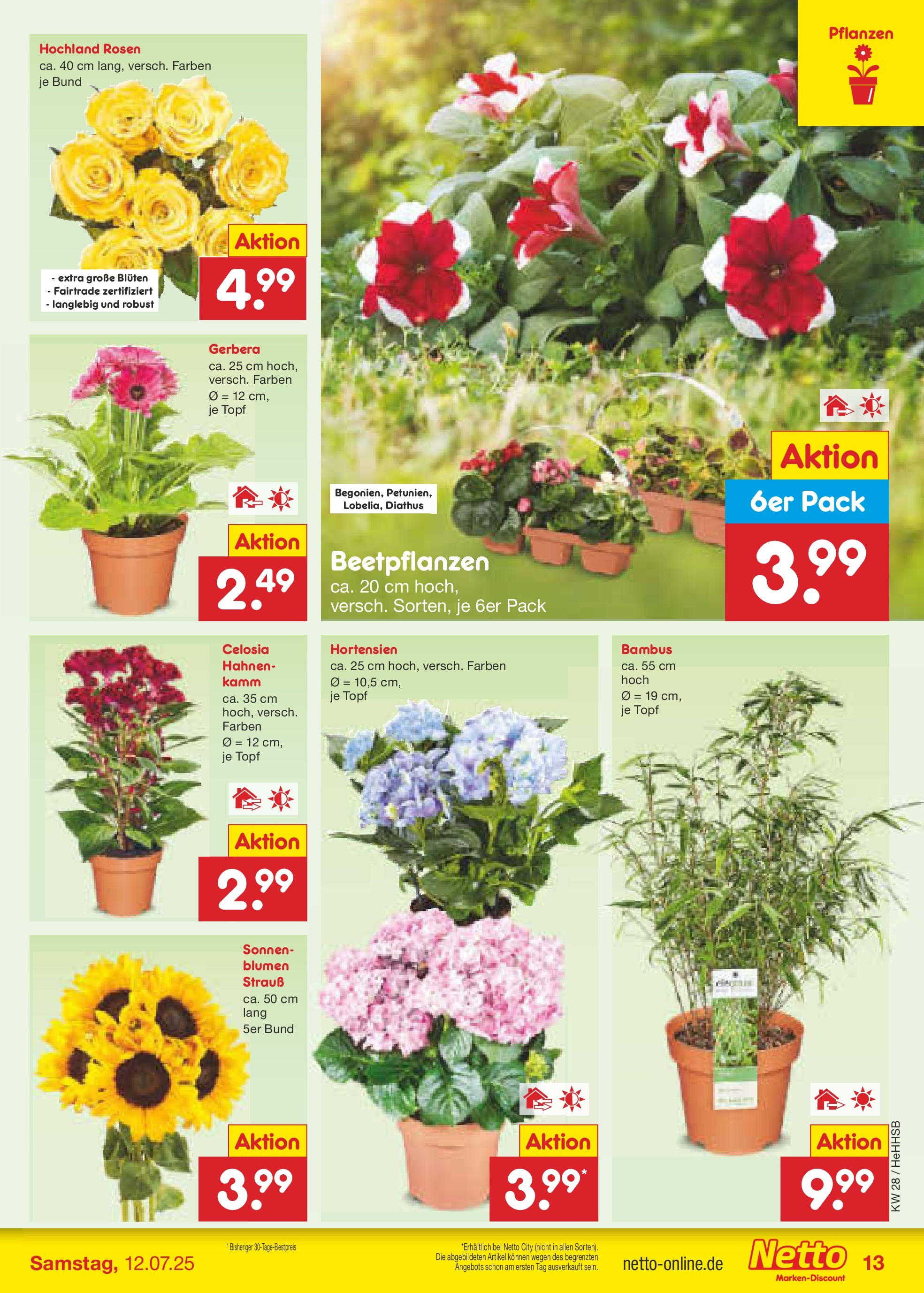 Netto Marken-Discount prospekt Hamburg (ab 07.07.2025) » Angebote | Seite: 15 | Produkte: Blumen Netto Marken-Discount prospekt Hamburg (ab 07.07.2025) » Angebote | Seite: 15 | Produkte: Blumen