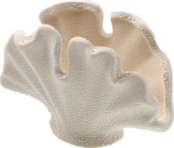 Dekorieren & Einrichten Dekoobjekt aus Porzellan "Muschel", offwhite (7,5x14,6x9,8 cm)