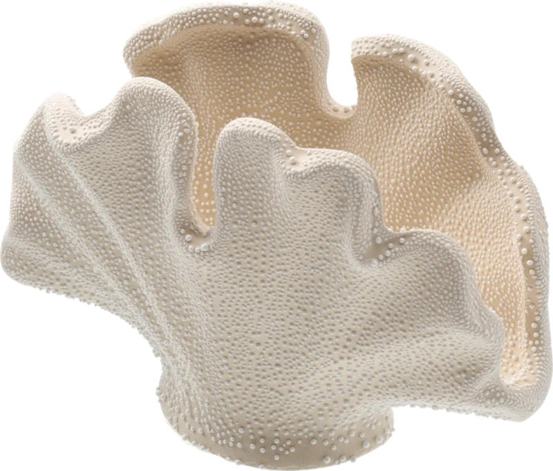 Dekorieren & Einrichten Dekoobjekt aus Porzellan "Muschel", offwhite (7,5x14,6x9,8 cm)