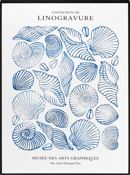Dekorieren & Einrichten Wandbild "Muscheln", blau/weiß (40x30x2,5 cm)