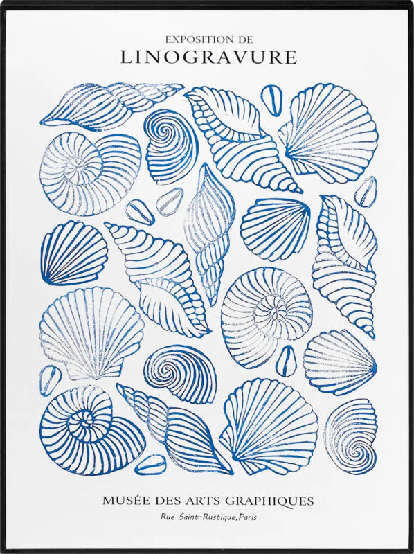 Dekorieren & Einrichten Wandbild "Muscheln", blau/weiß (40x30x2,5 cm)
