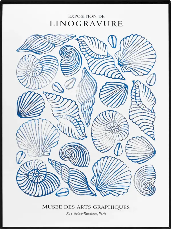 Dekorieren & Einrichten Wandbild "Muscheln", blau/weiß (40x30x2,5 cm)