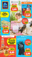 HOFER HOFER: Flugblatt - ab 04.07.2025