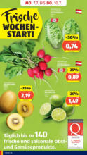 HOFER HOFER: Flugblatt - ab 04.07.2025