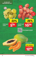 Catalog Lidl până în data de 13.07.2025