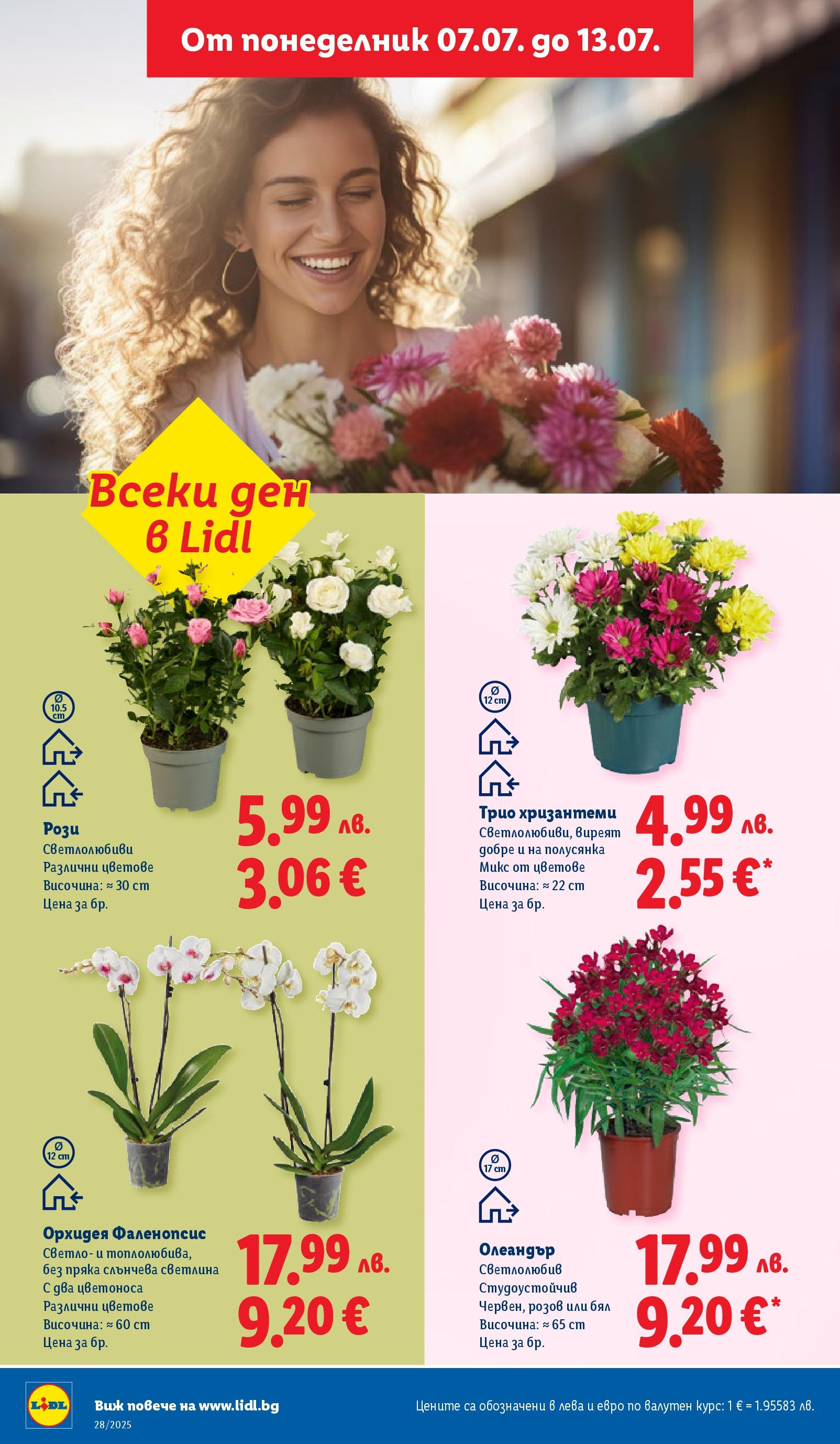Лидл брошура от 07.07.2025 - LIDL broshura "Cедмична брошура на Лидл" | Страница: 48 | Продукти: Орхидея