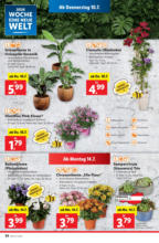 Lidl Österreich Lidl: Flugblatt in deiner Nähe - ab 10.07.2025