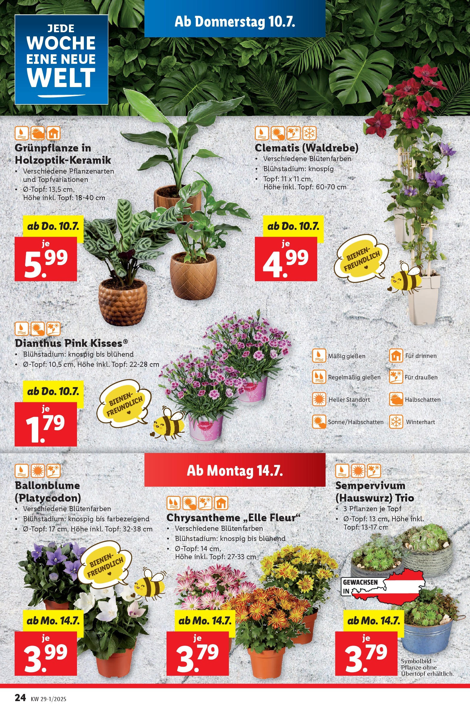 Lidl - Lidl: Flugblatt in deiner Nähe ab 09.07.2025 - Angebote ab donnerstag | Seite: 26