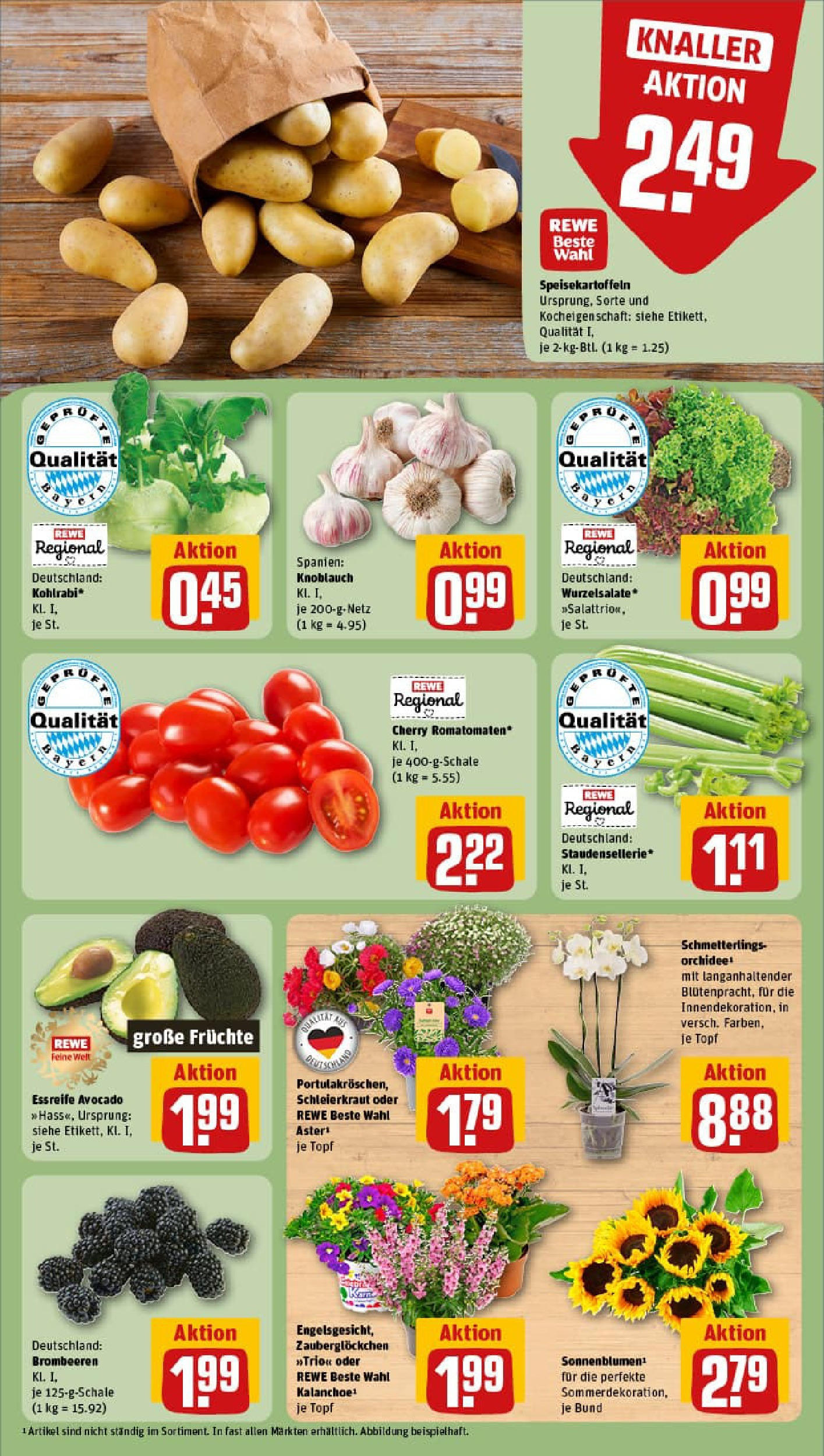 REWE Prospekt ab 06.07.2025 zum Blättern » Angebote | Seite: 7 | Produkte: Orchidee, Kohlrabi, Avocado, Knoblauch