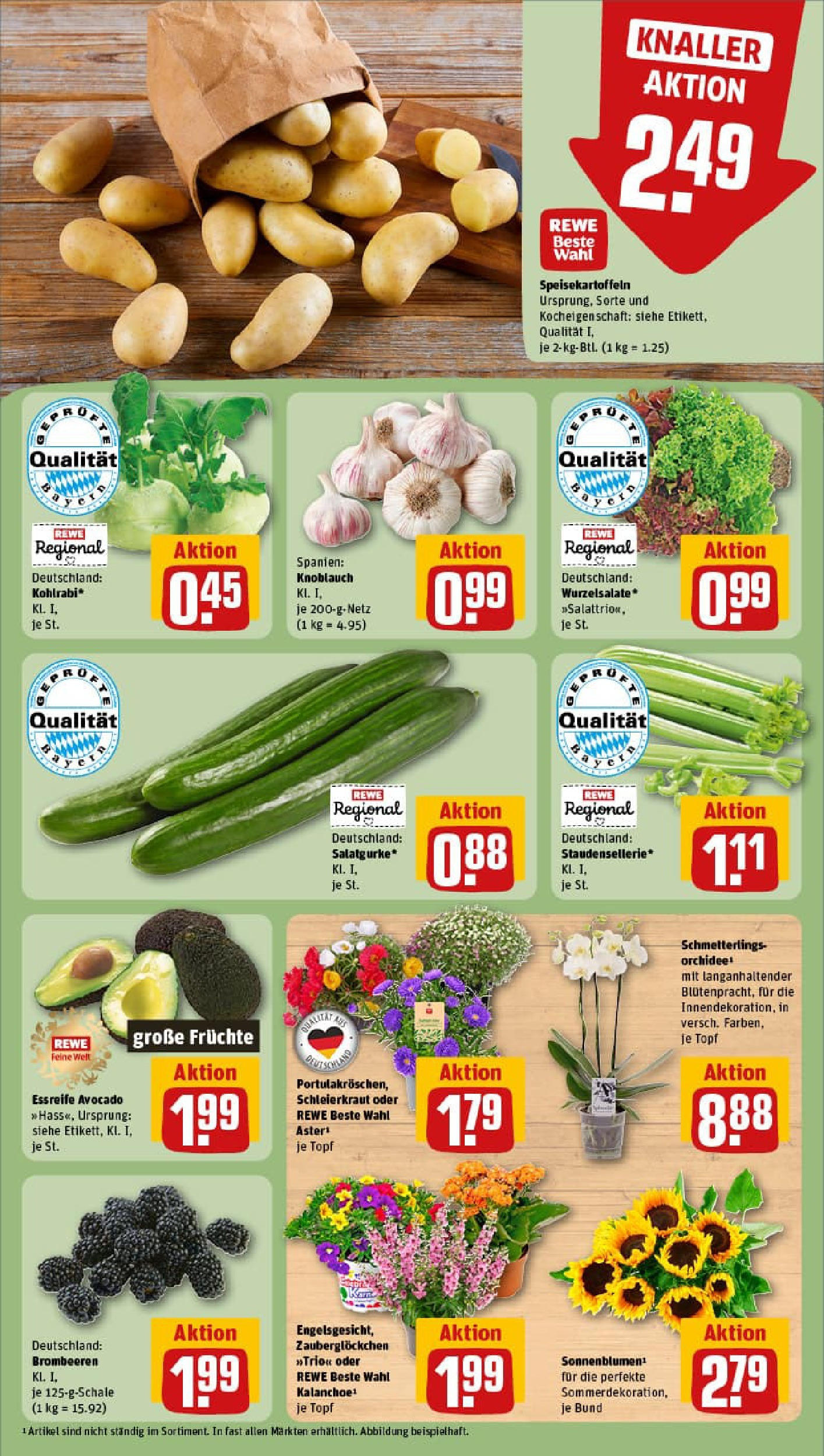 REWE Prospekt ab 06.07.2025 zum Blättern » Angebote | Seite: 7 | Produkte: Orchidee, Kohlrabi, Avocado, Knoblauch