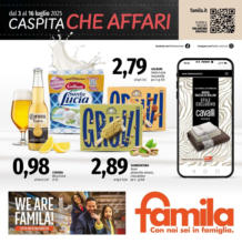 CASPITA CHE AFFARI