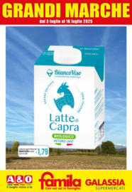 GRANDI MARCHE