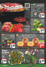 EDEKA: Wochenangebote