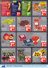 EDEKA: Wochenangebote