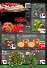 EDEKA: Wochenangebote