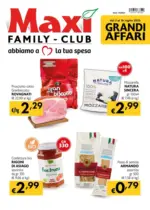 Maxì Family Grandi affari - al 16.07.2025