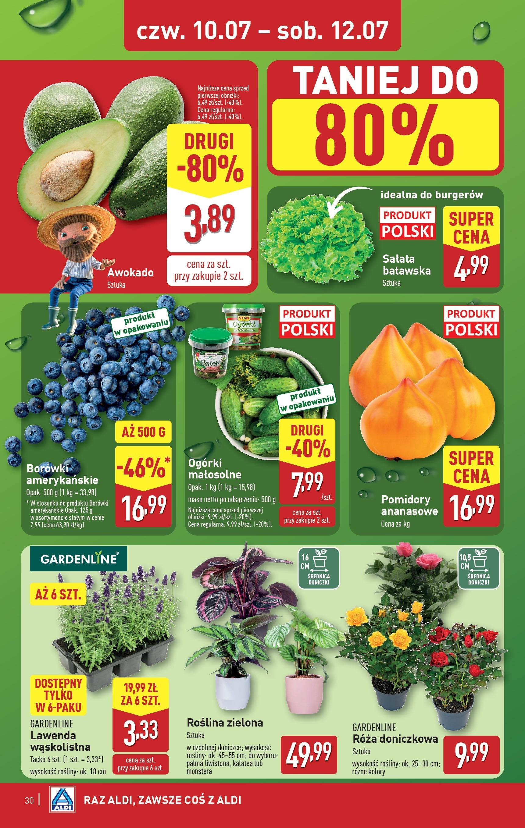 Aldi Gazetka od 07.07.2025 - Ulotka PDF, promocje | Strona: 30 | Produkty: Rosliny, Doniczki, Pomidory, Awokado