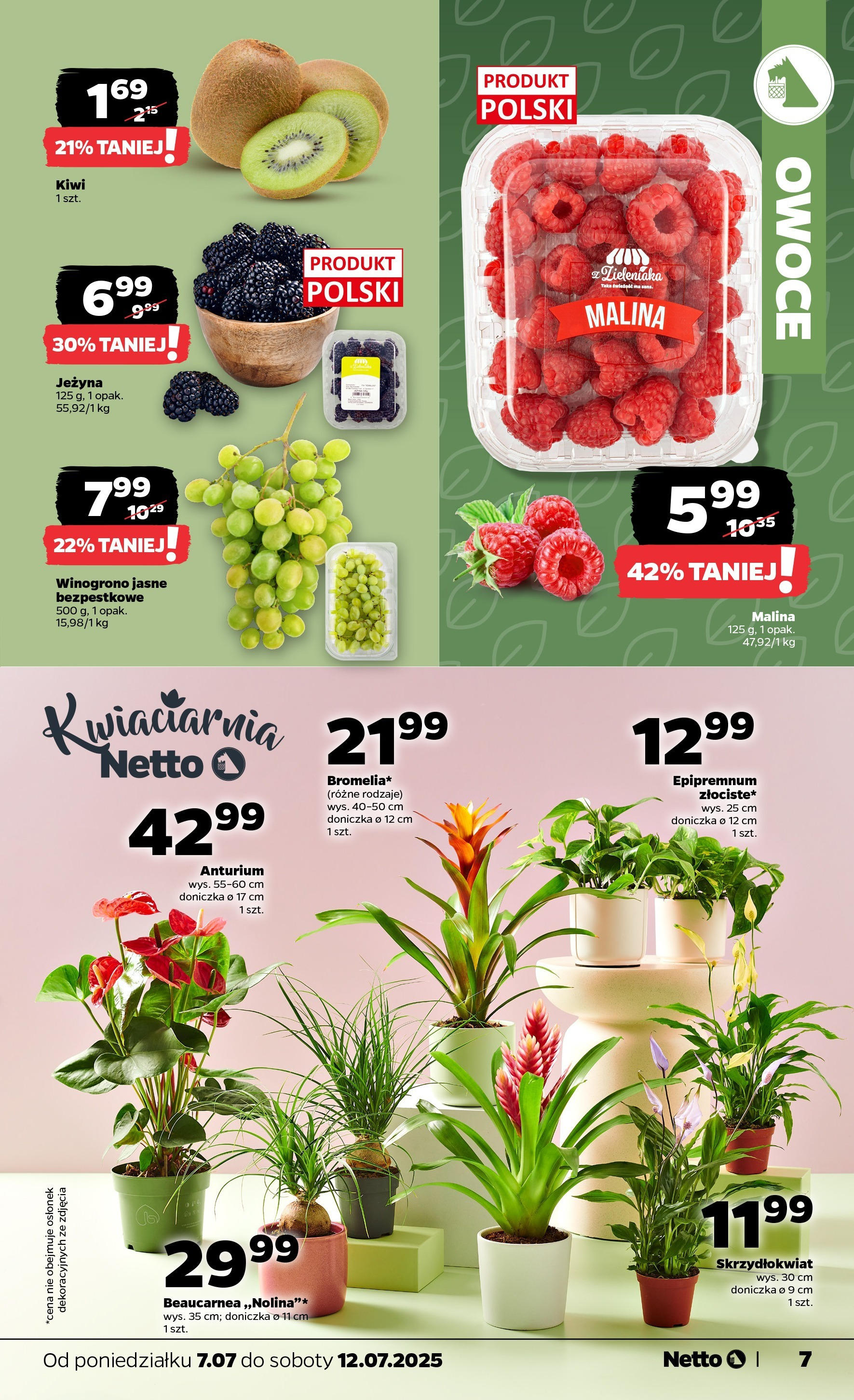 Netto - NETTO T28A ważne do 12.07 od 06.07.2025 - Aktualne promocje | Strona: 7