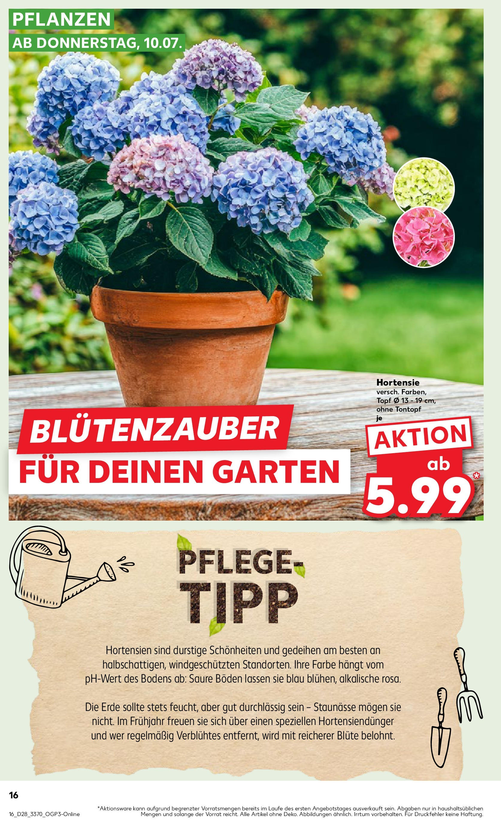 Prospekt Kaufland ab 10.07.2025 » Angebote Online zum Blättern | Seite: 16 | Produkte: Hortensie