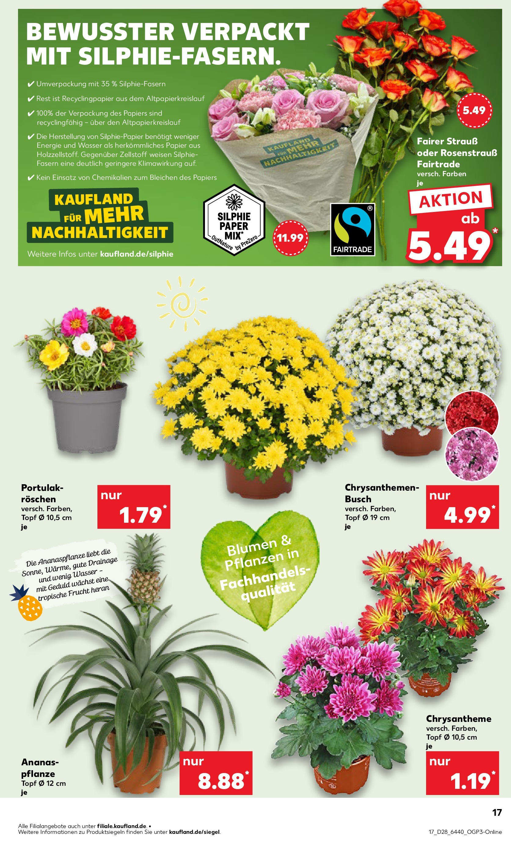 Prospekt Kaufland ab 09.07.2025 » Angebote Online zum Blättern | Seite: 17 | Produkte: Blumen, Ananas, Wasser