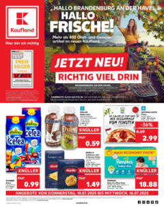 Kaufland prospekt Brandenburg An Der Havel	 - gültig ab dem 09.07.2025 | Seite: 6