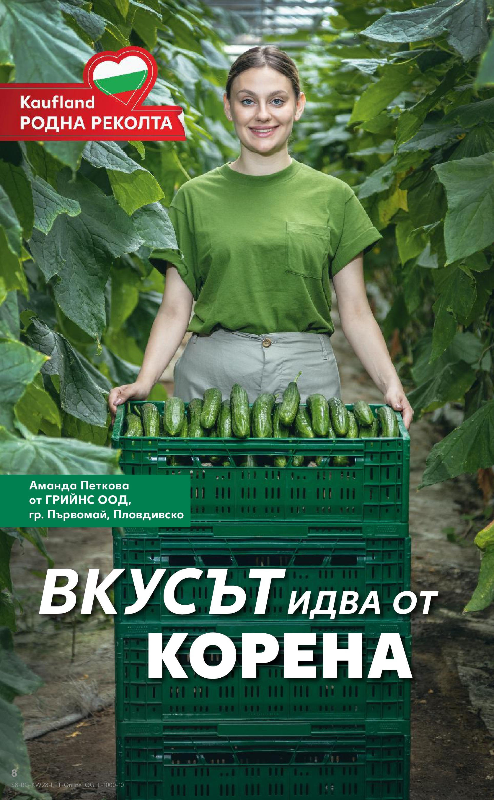 Нова Кауфланд брошура от 06.07.2025 - Кауфланд - Спестявай с MEGA марки в твоя Kaufland до 13.07 | Страница: 8 Нова Кауфланд брошура от 06.07.2025 - Кауфланд - Спестявай с MEGA марки в твоя Kaufland до 13.07 | Страница: 8