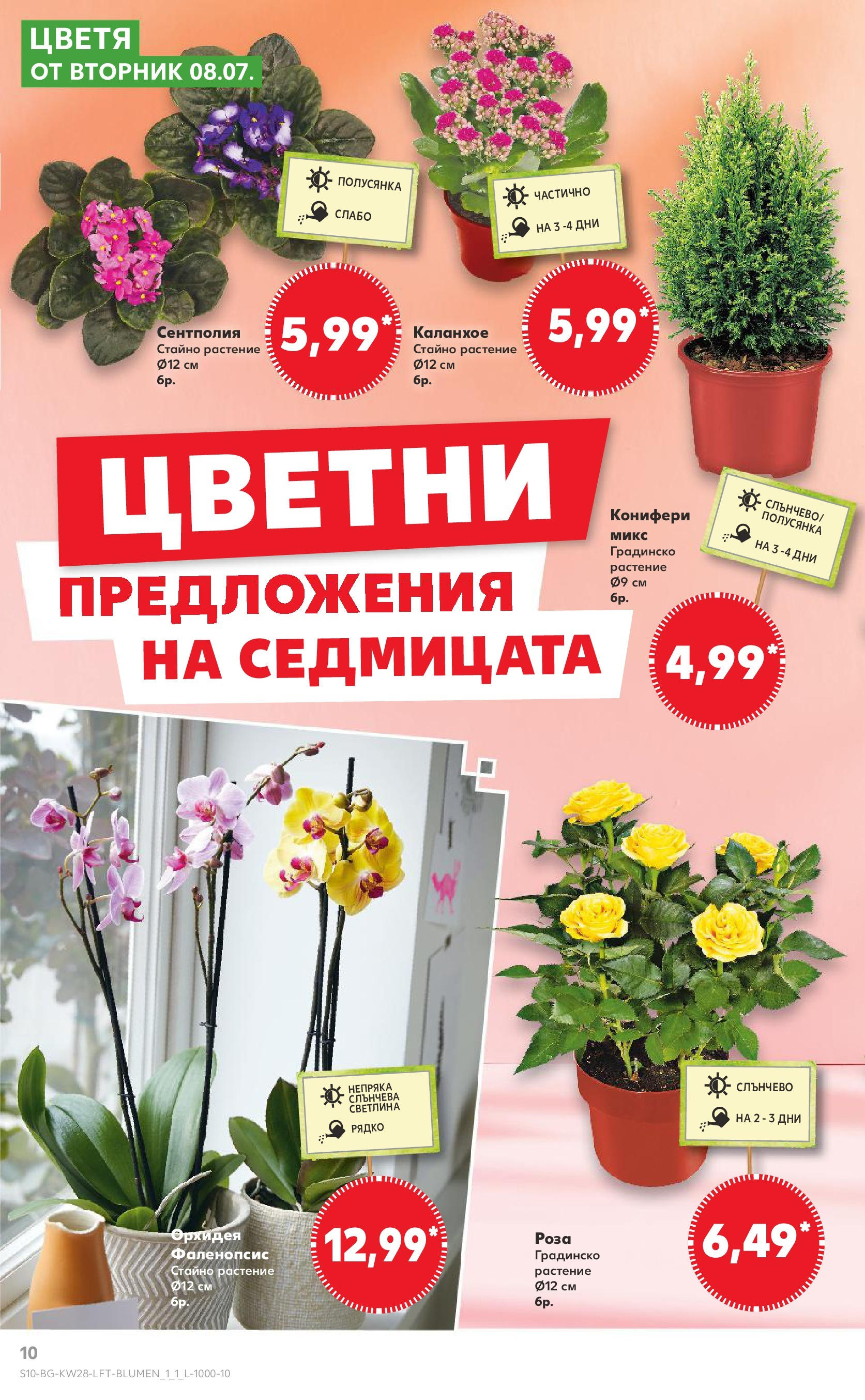 Нова Кауфланд брошура от 06.07.2025 - Кауфланд - Спестявай с MEGA марки в твоя Kaufland до 13.07 | Страница: 10 | Продукти: Орхидея, Роза Нова Кауфланд брошура от 06.07.2025 - Кауфланд - Спестявай с MEGA марки в твоя Kaufland до 13.07 | Страница: 10 | Продукти: Орхидея, Роза