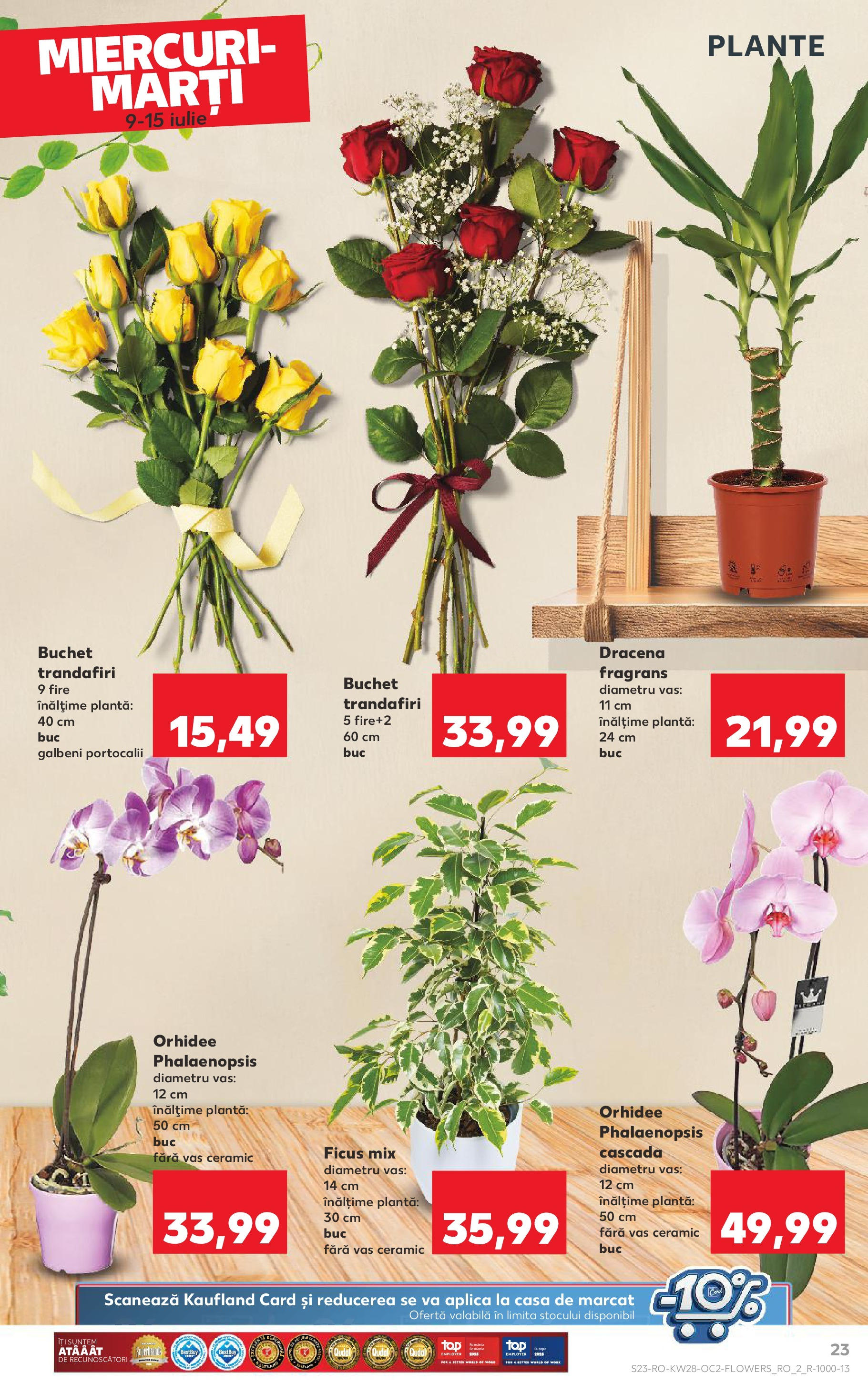 Kaufland - Catalog Kaufland până în data de 15.07.2025 08.07.2025 || Revista si Oferte | Pagină: 23 | Produse: Orhidee Kaufland - Catalog Kaufland până în data de 15.07.2025 08.07.2025 - Revista si Oferta | Pagină: 23 | Produse: Orhidee