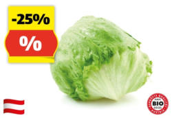 ZURÜCK ZUM URSPRUNG BIO-Eisbergsalat aus Österreich