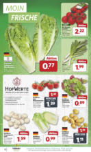 Unsere Combi Wochenangebote